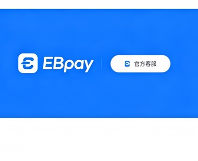 ebpay官网界面说明图